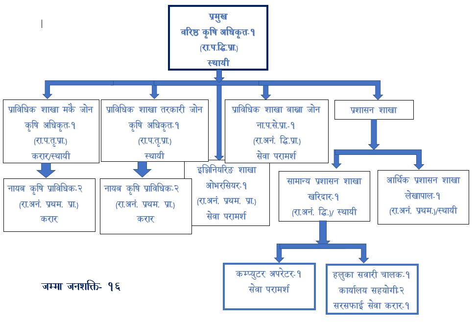 संगठनिक संरचना धादिङ